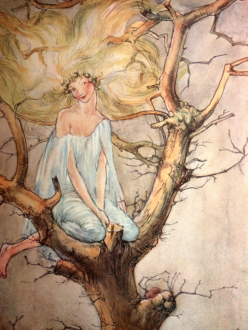 1920 Rare Book - The Dream-Pedlar, Illustrated in Color by Florence Anderson