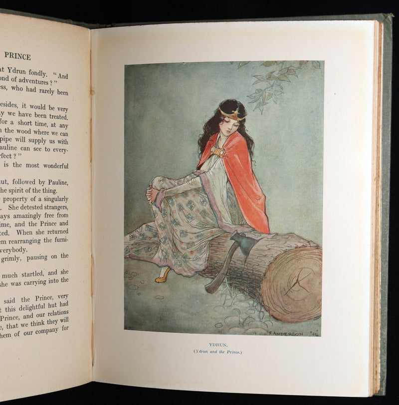 1920 Rare Book - The Dream-Pedlar, Illustrated in Color by Florence Anderson