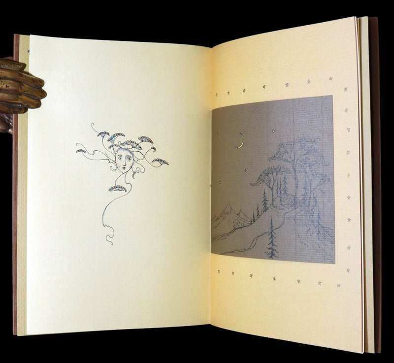 2015 Rare First Edition - Tree Whispers, Illustrated by Charles van Sandwyk