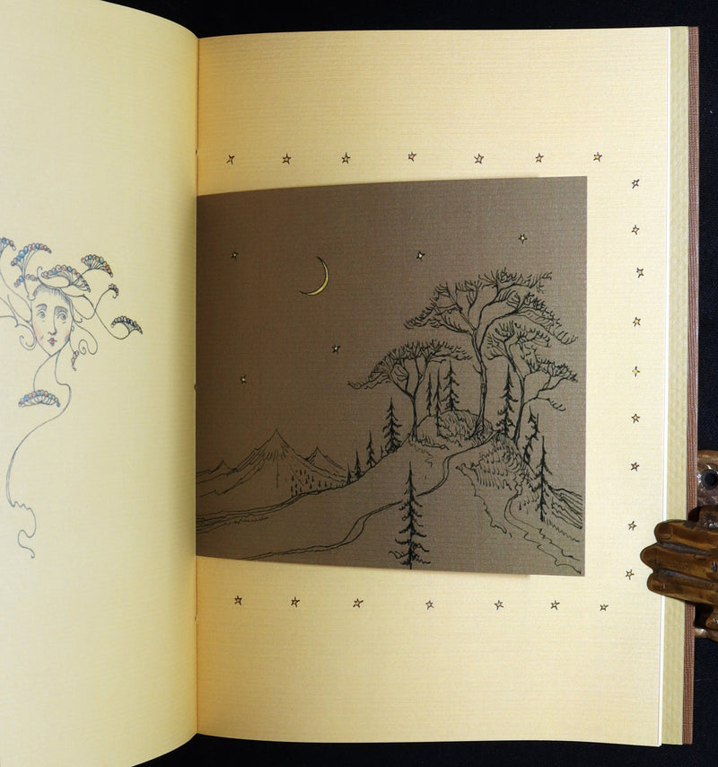 2015 Rare First Edition - Tree Whispers, Illustrated by Charles van Sandwyk