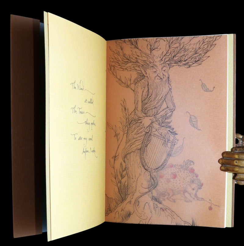 2015 Rare First Edition - Tree Whispers, Illustrated by Charles van Sandwyk