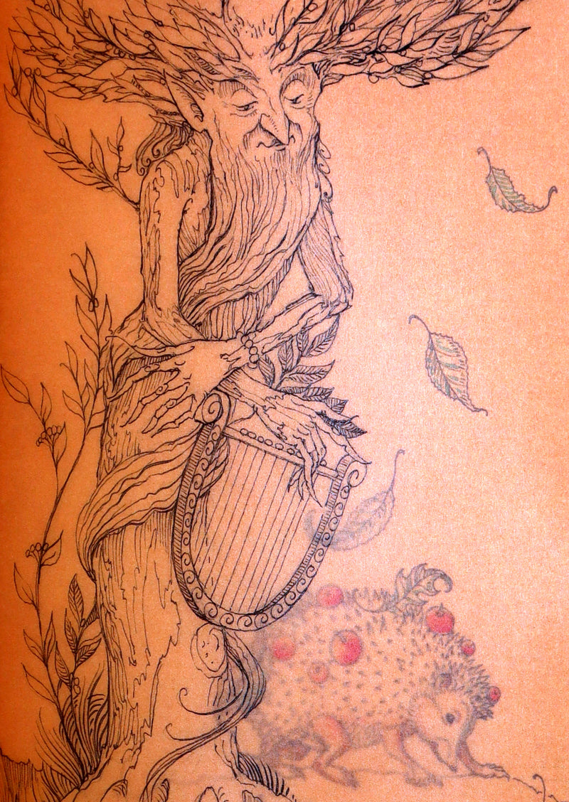 2015 Rare First Edition - Tree Whispers, Illustrated by Charles van Sandwyk