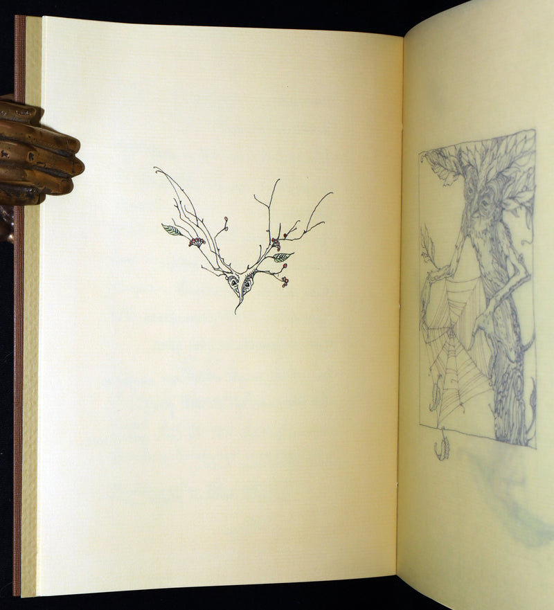 2015 Rare First Edition - Tree Whispers, Illustrated by Charles van Sandwyk