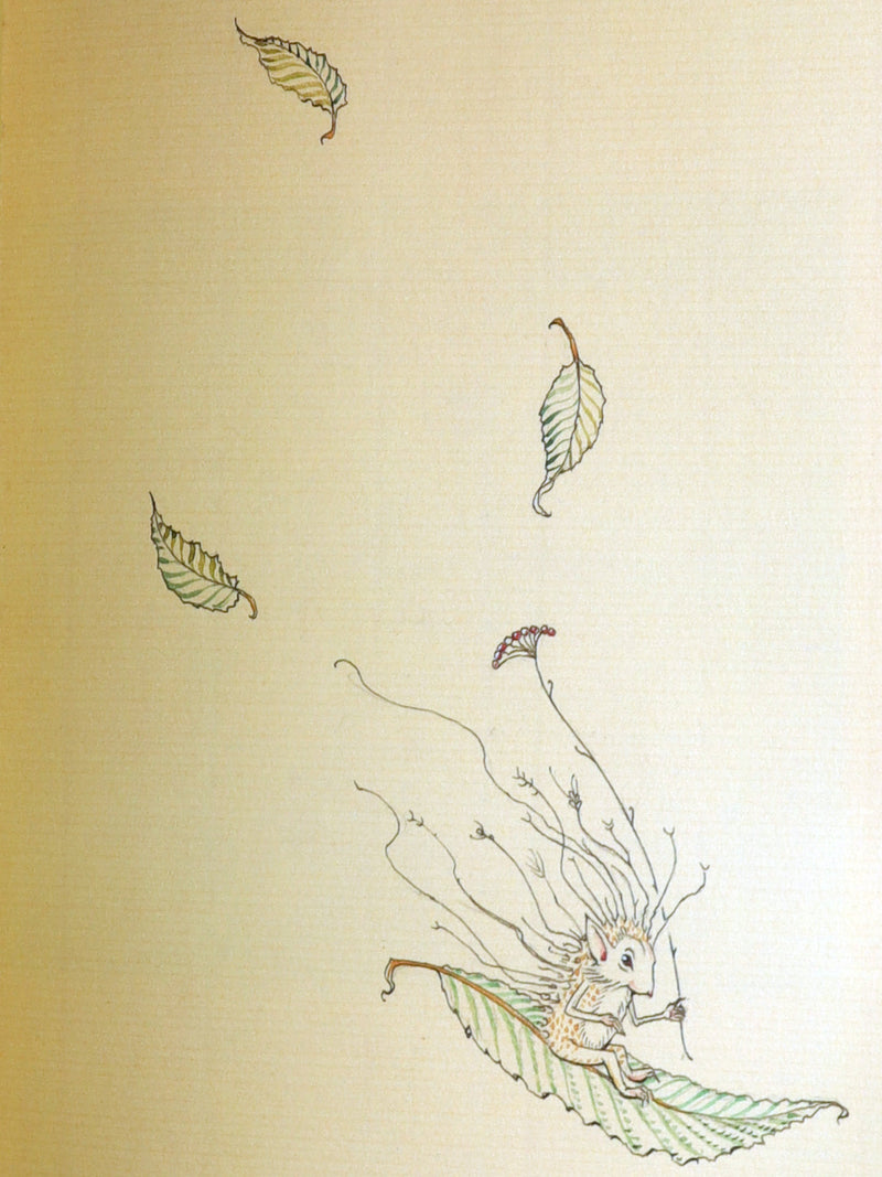 2015 Rare First Edition - Tree Whispers, Illustrated by Charles van Sandwyk