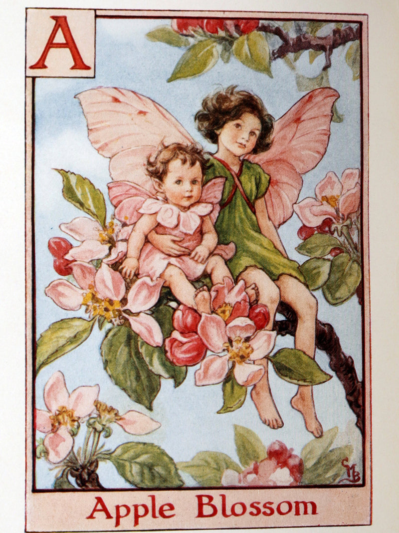 1934 Rare First Edition - A Flower Fairy Alphabet by Cicely Mary Barker