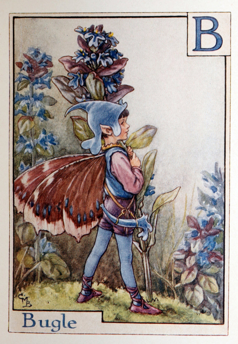 1934 Rare First Edition - A Flower Fairy Alphabet by Cicely Mary Barker