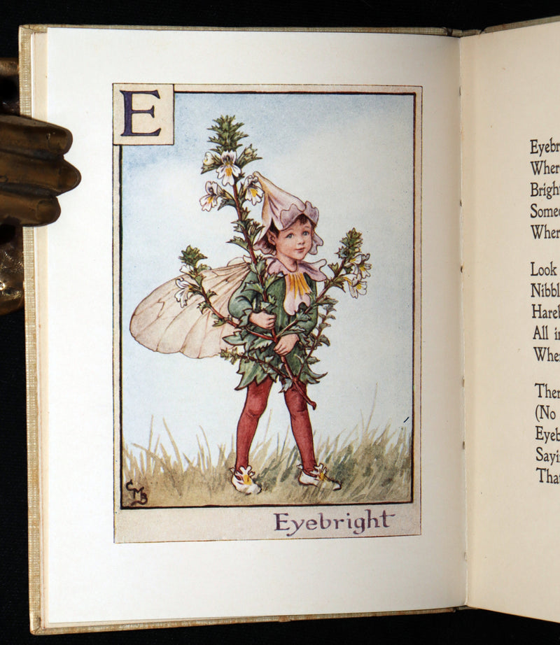 1934 Rare First Edition - A Flower Fairy Alphabet by Cicely Mary Barker