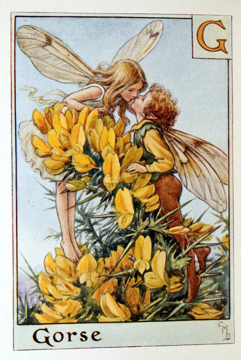 1934 Rare First Edition - A Flower Fairy Alphabet by Cicely Mary Barker