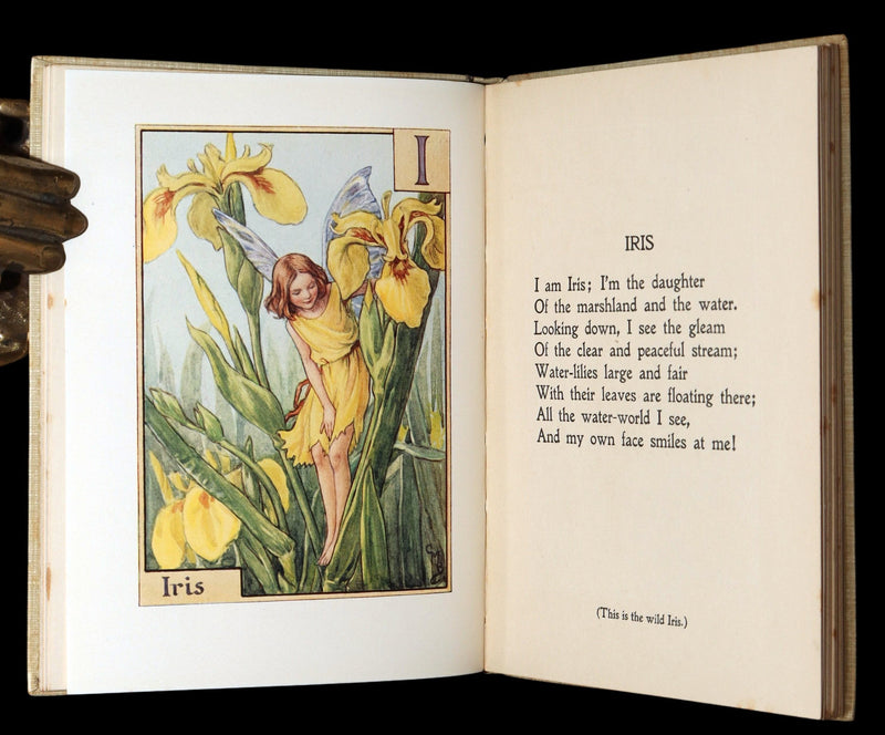 1934 Rare First Edition - A Flower Fairy Alphabet by Cicely Mary Barker
