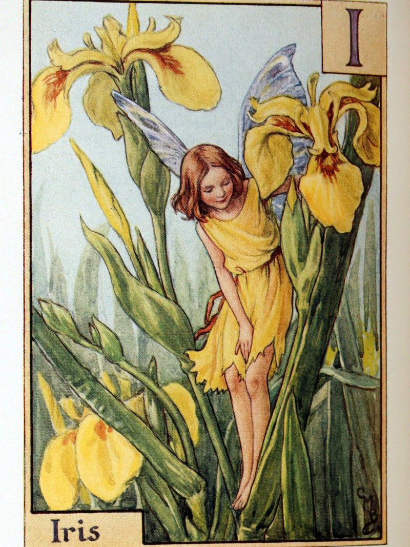 1934 Rare First Edition - A Flower Fairy Alphabet by Cicely Mary Barker
