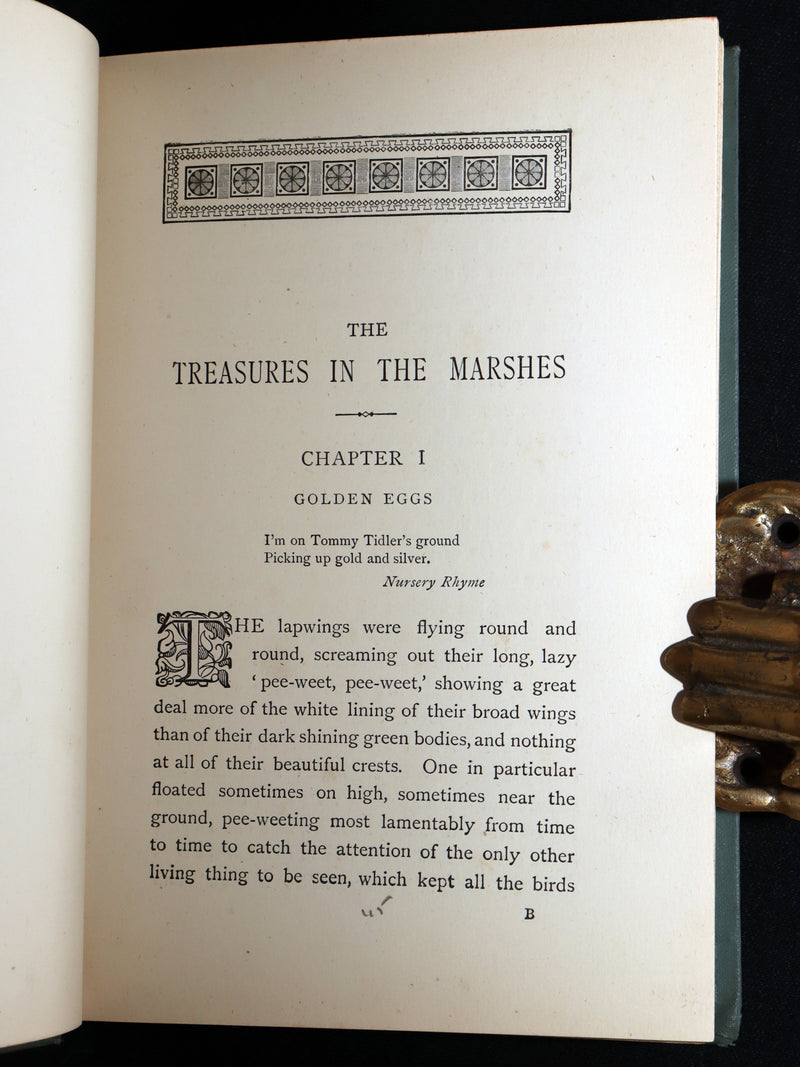 1890 Rare First Edition - The Treasures in the Marshes by Charlotte M. Yonge