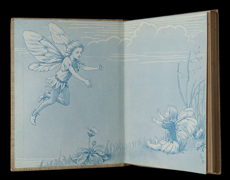 1930 Rare Book - Flower Fairies of the Summer illustrated by Cicely Mary Barker