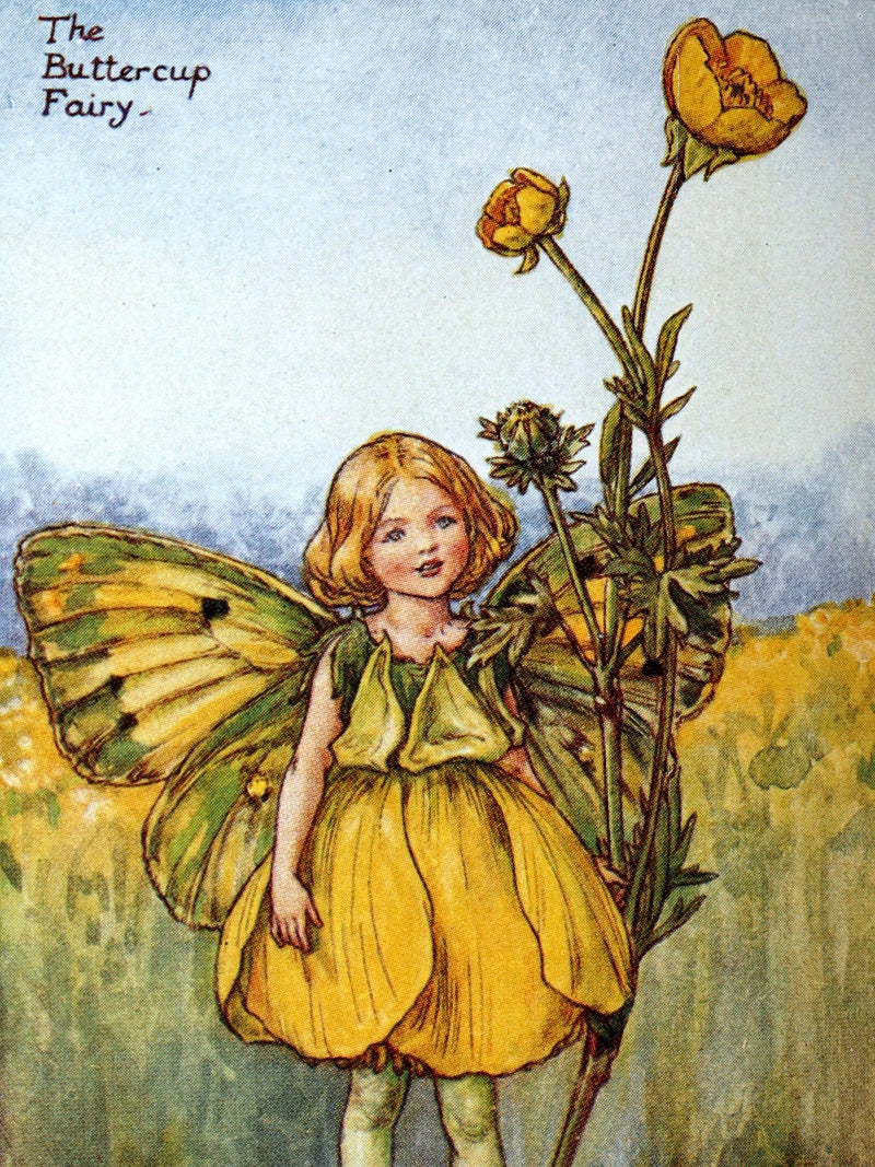 1930 Rare Book - Flower Fairies of the Summer illustrated by Cicely Mary Barker