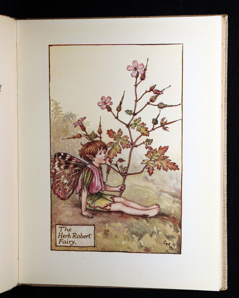 1930 Rare Book - Flower Fairies of the Summer illustrated by Cicely Mary Barker
