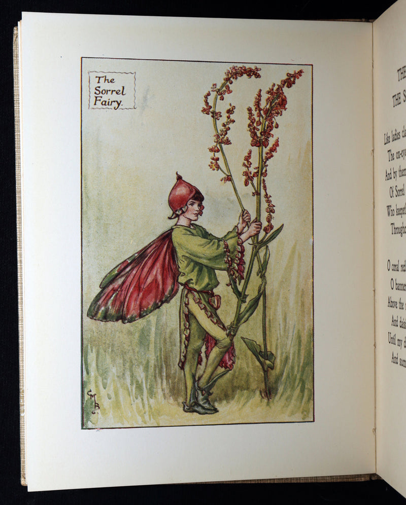 1930 Rare Book - Flower Fairies of the Summer illustrated by Cicely Mary Barker