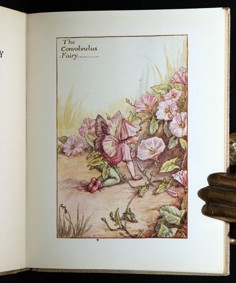 1930 Rare Book - Flower Fairies of the Summer illustrated by Cicely Mary Barker