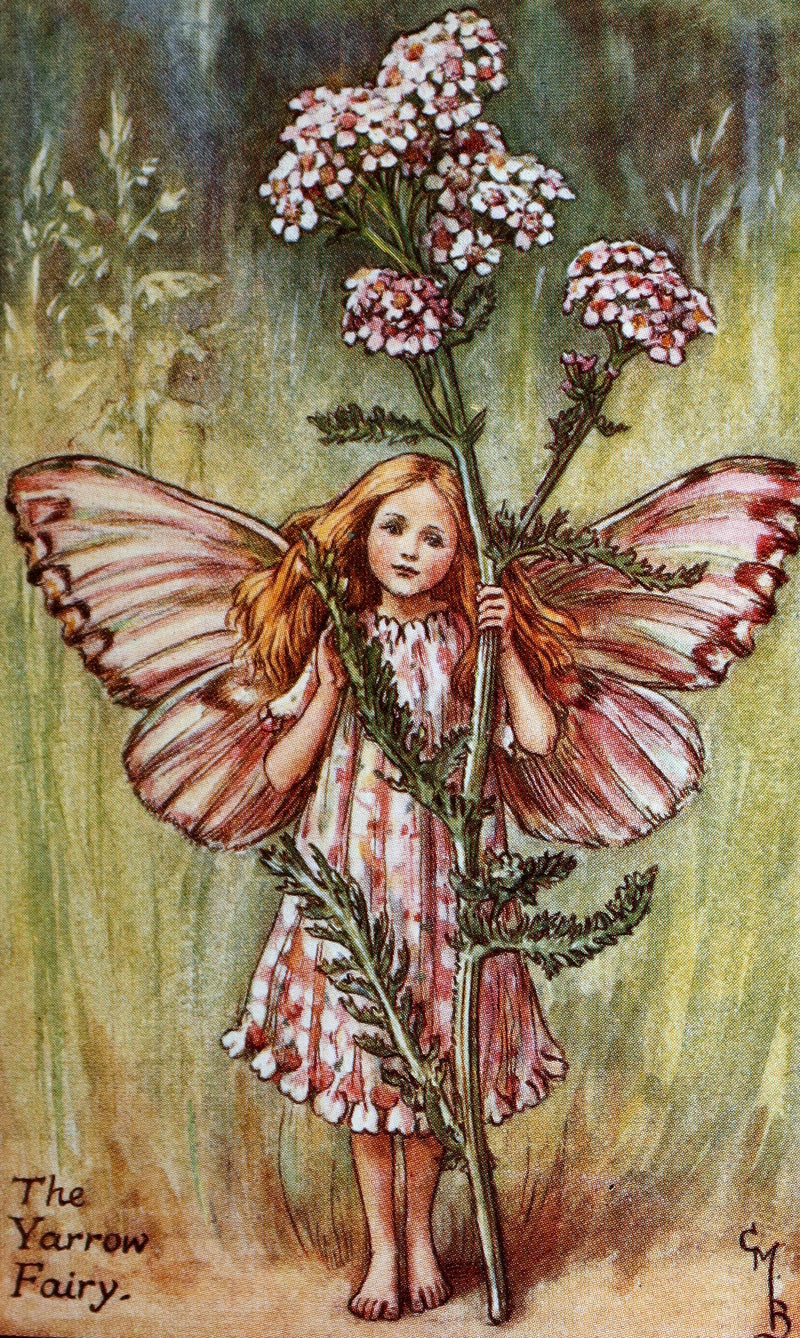 1930 Rare Book - Flower Fairies of the Summer illustrated by Cicely Mary Barker