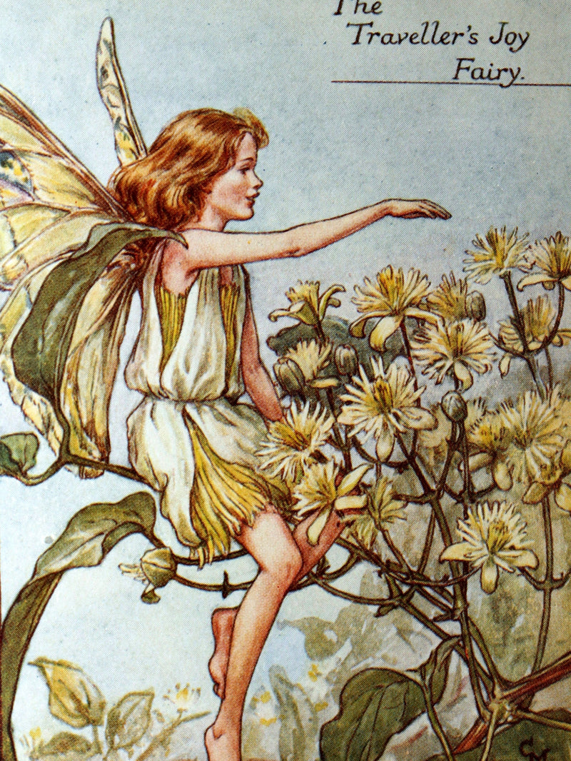 1930 Rare Book - Flower Fairies of the Summer illustrated by Cicely Mary Barker