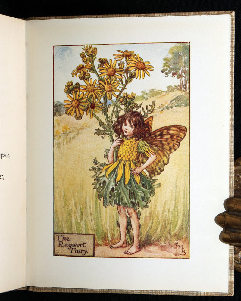 1930 Rare Book - Flower Fairies of the Summer illustrated by Cicely Mary Barker