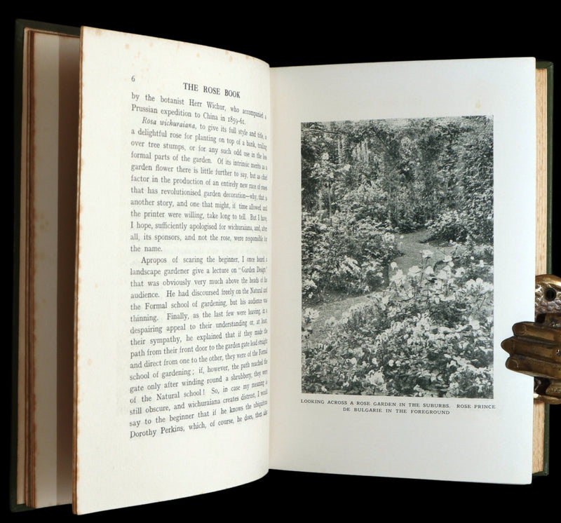 1913 Scarce First Edition - The Rose Book by H.H. Thomas, Illustrated