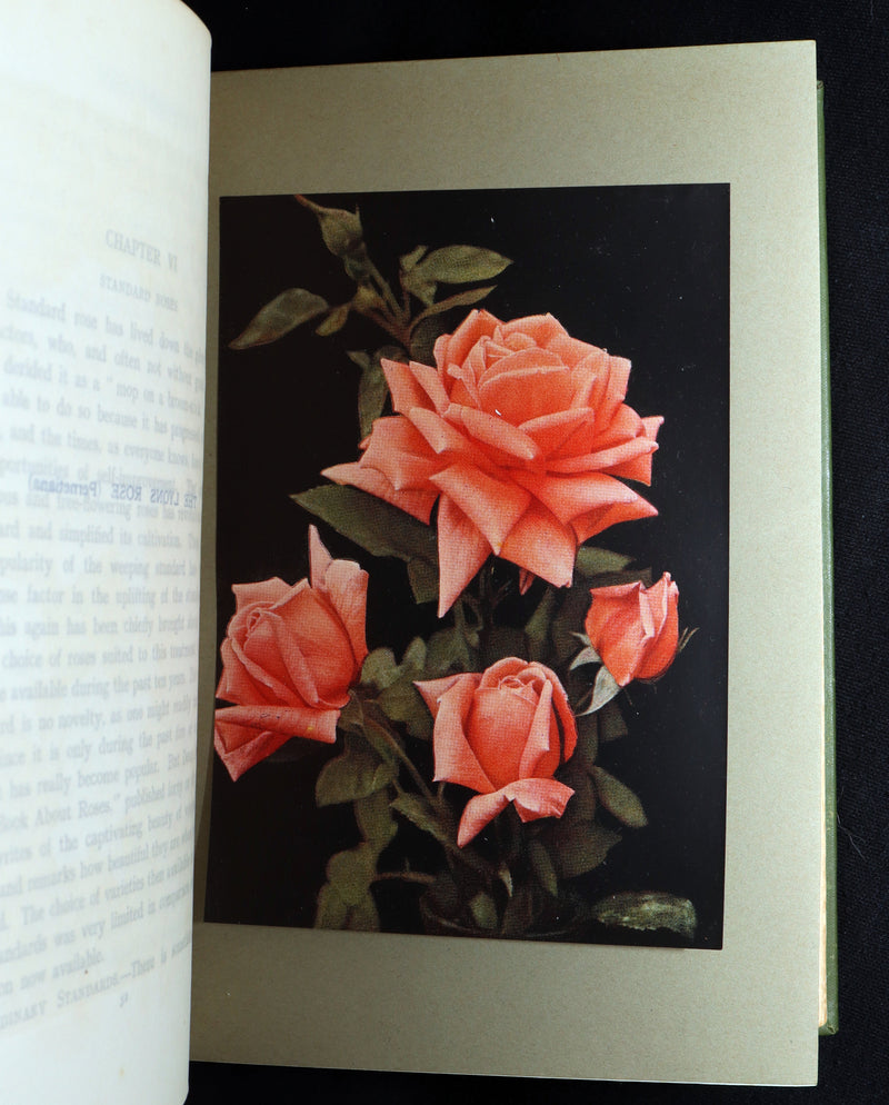 1913 Scarce First Edition - The Rose Book by H.H. Thomas, Illustrated