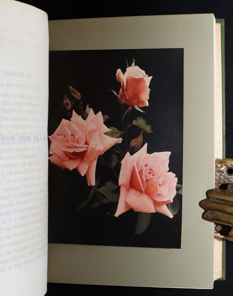 1913 Scarce First Edition - The Rose Book by H.H. Thomas, Illustrated
