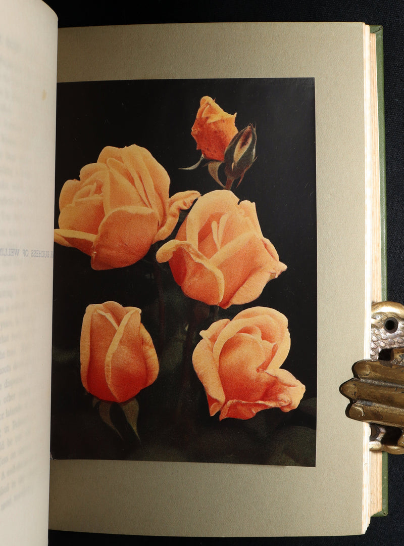 1913 Scarce First Edition - The Rose Book by H.H. Thomas, Illustrated