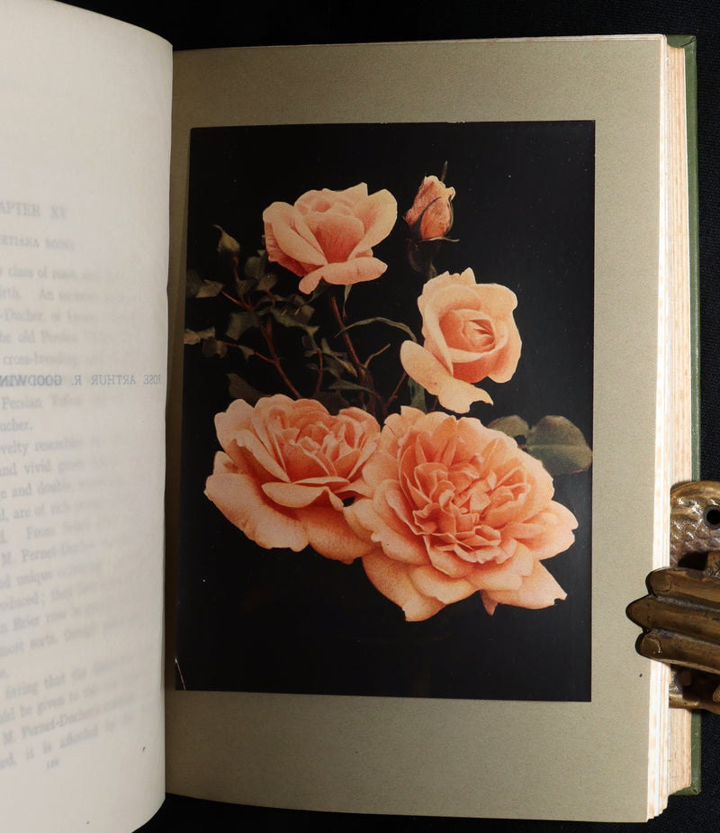 1913 Scarce First Edition - The Rose Book by H.H. Thomas, Illustrated