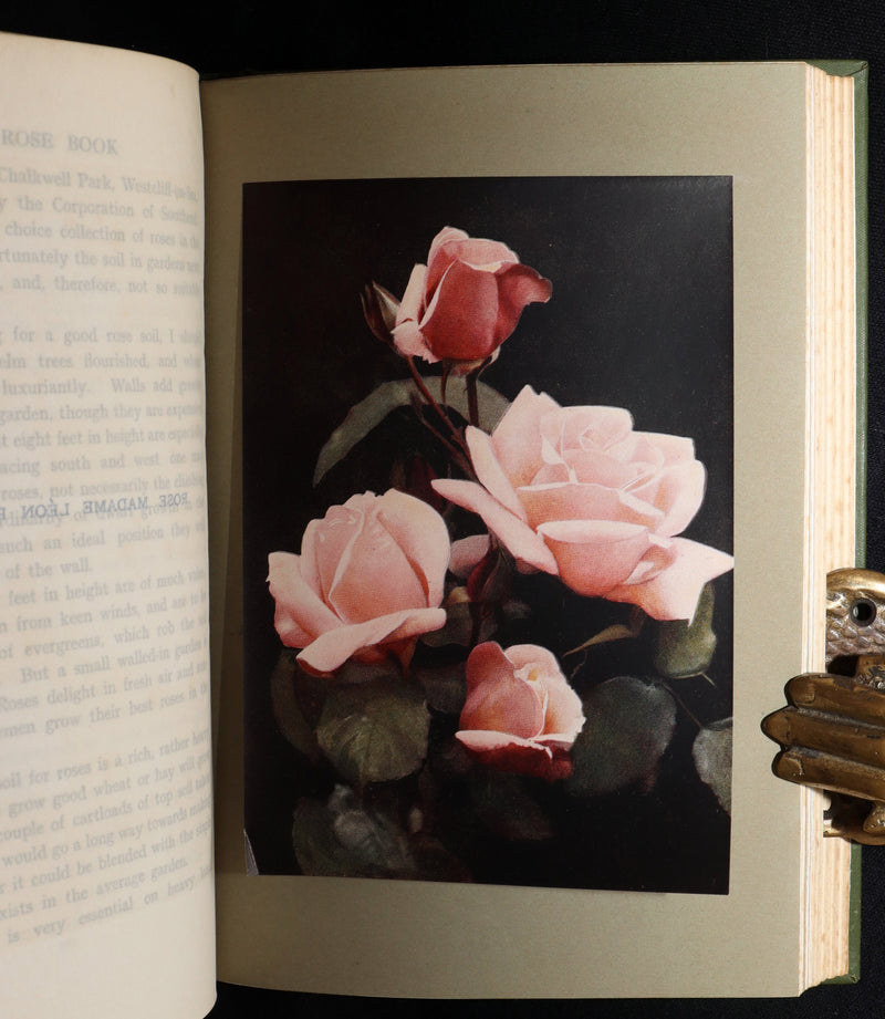 1913 Scarce First Edition - The Rose Book by H.H. Thomas, Illustrated