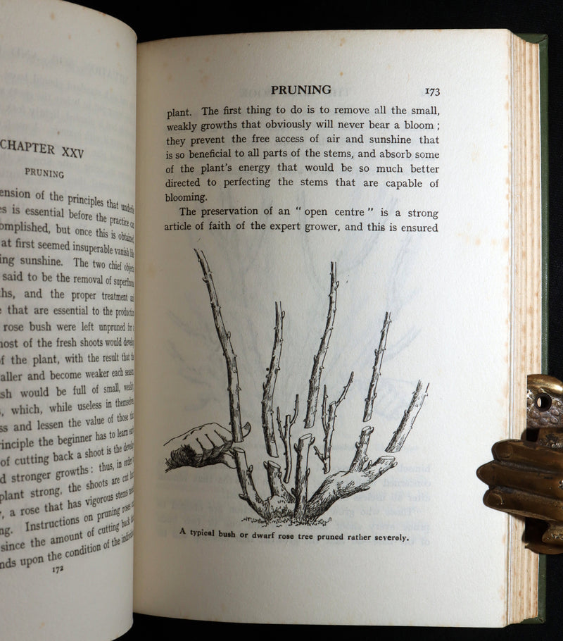 1913 Scarce First Edition - The Rose Book by H.H. Thomas, Illustrated