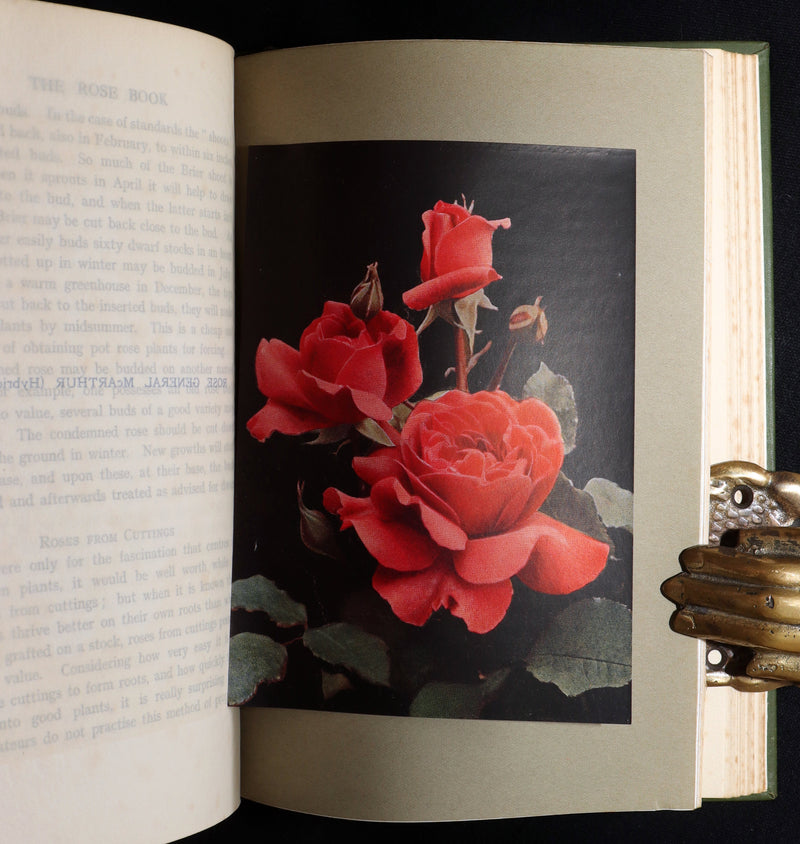 1913 Scarce First Edition - The Rose Book by H.H. Thomas, Illustrated