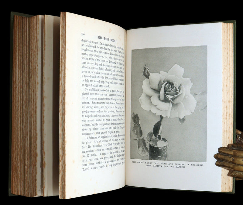 1913 Scarce First Edition - The Rose Book by H.H. Thomas, Illustrated