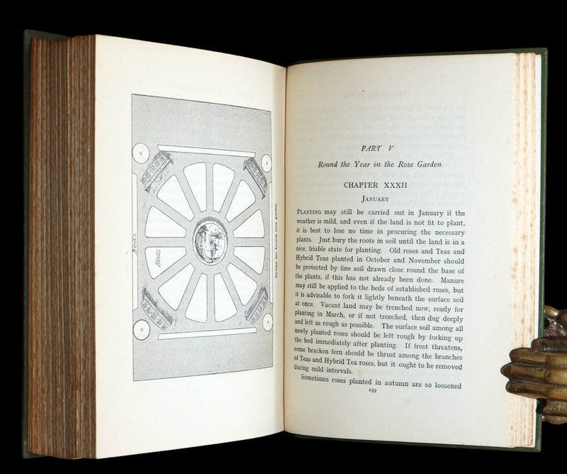 1913 Scarce First Edition - The Rose Book by H.H. Thomas, Illustrated