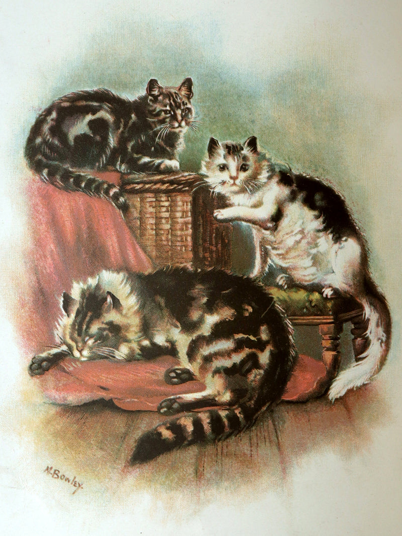 1895 Scare First Edition - Cat Stories, Pussy Tales by E. Nesbit