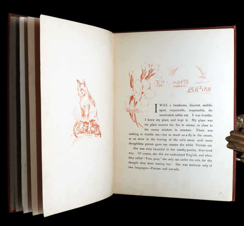 1895 Scare First Edition - Cat Stories, Pussy Tales by E. Nesbit