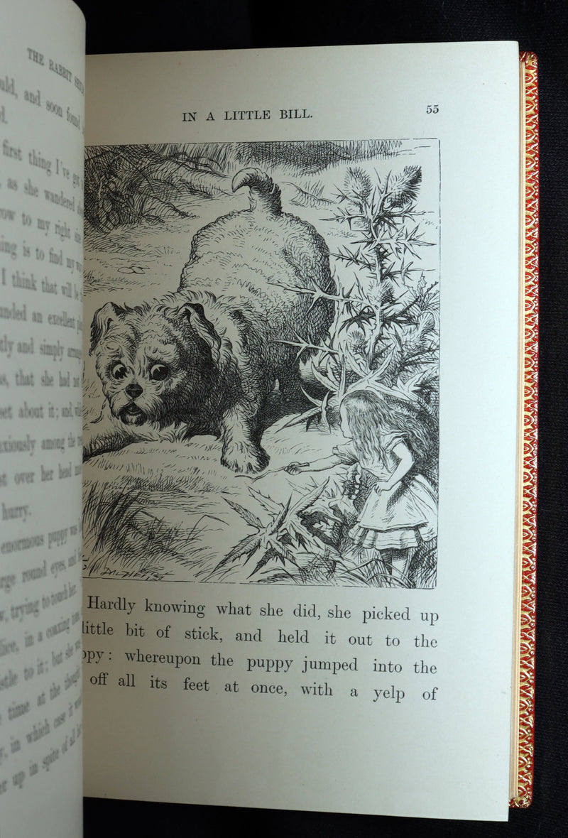 1899 Rare Zaehnsdorf Binding - Alice’s Adventures in Wonderland by Lewis Carroll
