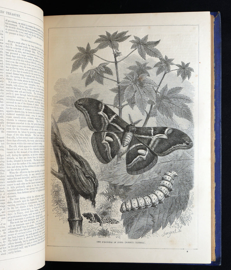 1858 Rare Victorian Book set - The Ladies’ Treasury, An Illustrated Magazine