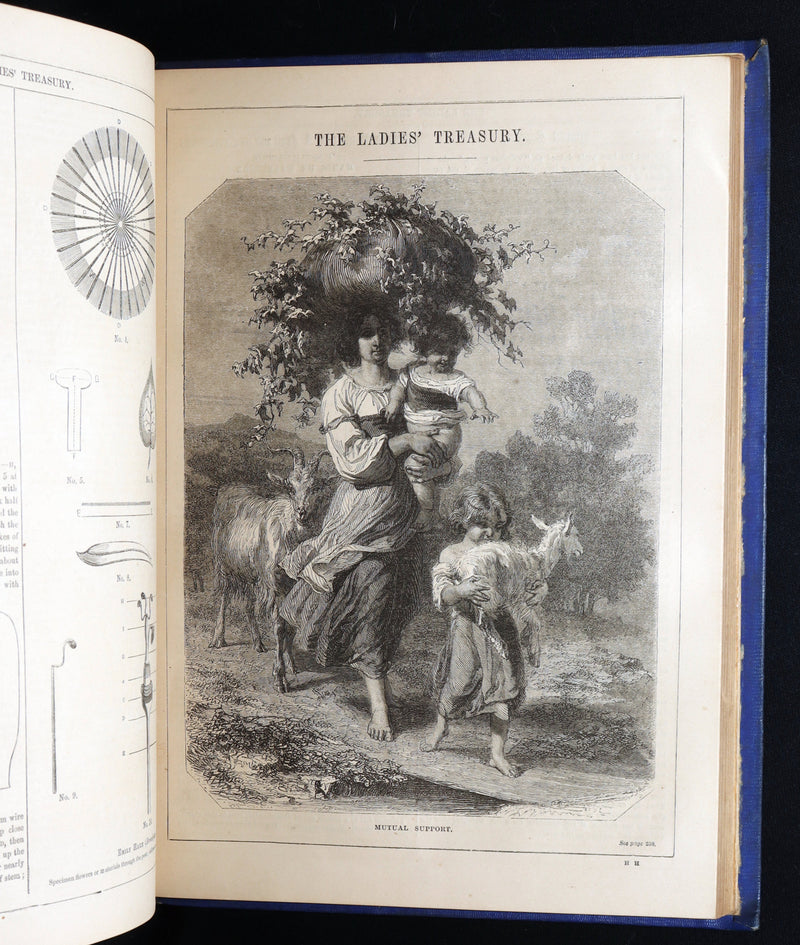 1858 Rare Victorian Book set - The Ladies’ Treasury, An Illustrated Magazine