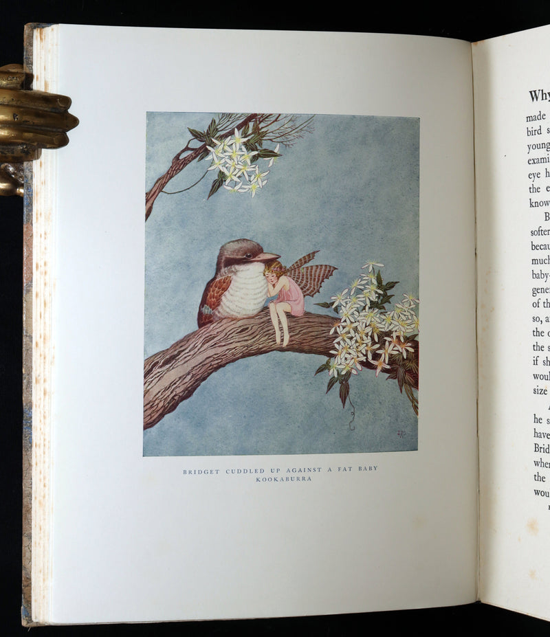 1929 Rare Book - The Little Fairy Sister Illustrated by Ida Rentoul Outhwaite