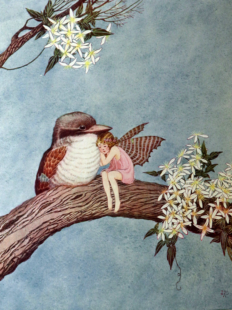 1929 Rare Book - The Little Fairy Sister Illustrated by Ida Rentoul Outhwaite
