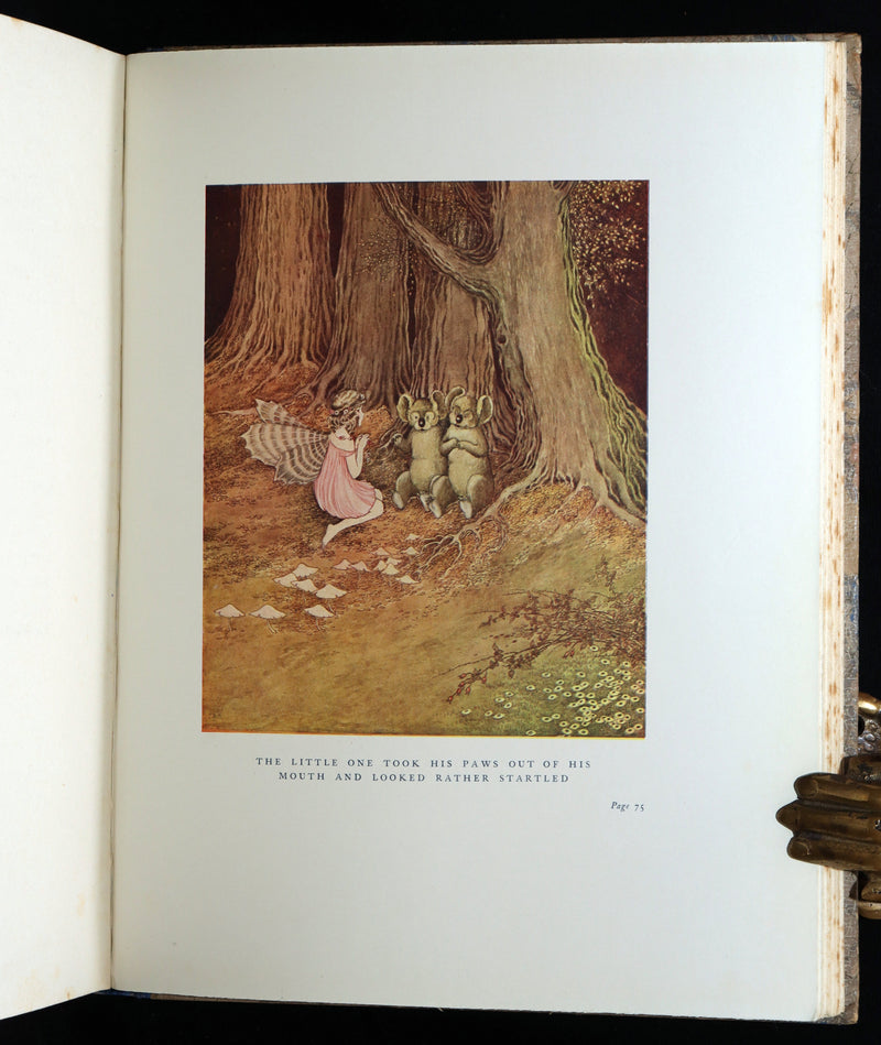1929 Rare Book - The Little Fairy Sister Illustrated by Ida Rentoul Outhwaite