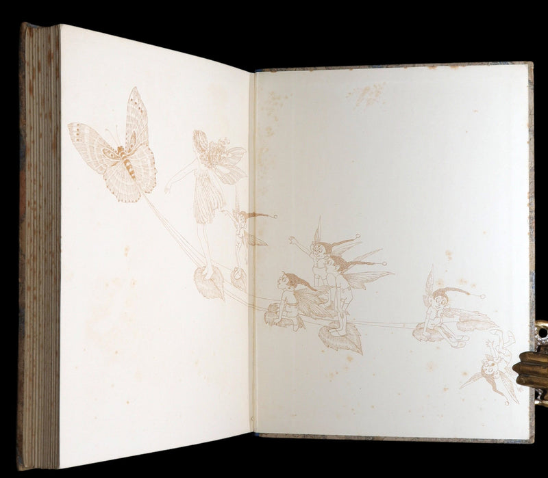 1929 Rare Book - The Little Fairy Sister Illustrated by Ida Rentoul Outhwaite