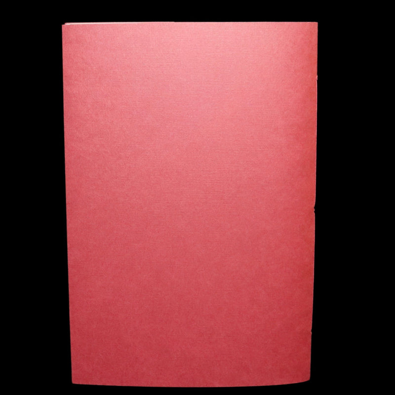 2009 Rare Signed Book - Canadian Content by Charles van Sandwyk