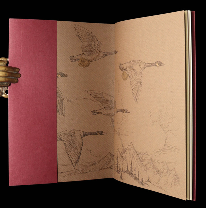 2009 Rare Signed Book - Canadian Content by Charles van Sandwyk