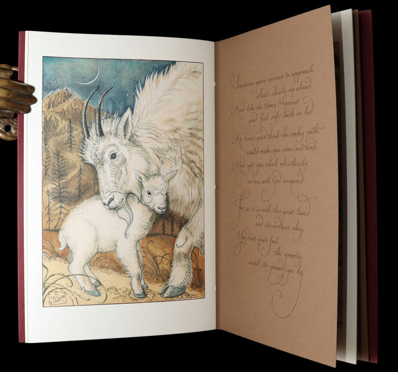 2009 Rare Signed Book - Canadian Content by Charles van Sandwyk
