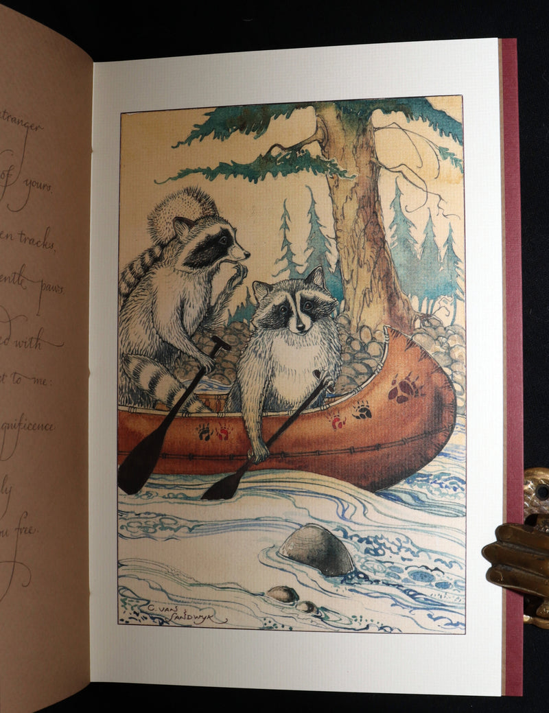 2009 Rare Signed Book - Canadian Content by Charles van Sandwyk