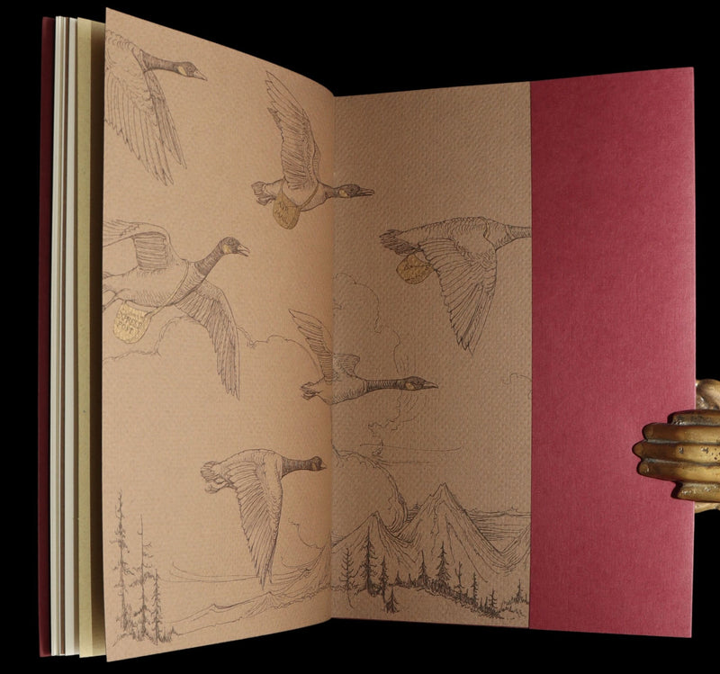 2009 Rare Signed Book - Canadian Content by Charles van Sandwyk