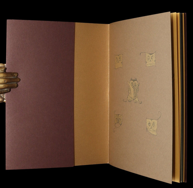 2012 Scarce Signed 1stED - Full Moon Eyes; Ode to Owls by Charles van Sandwyk