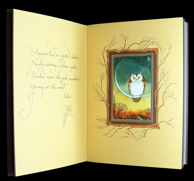 2012 Scarce Signed 1stED - Full Moon Eyes; Ode to Owls by Charles van Sandwyk