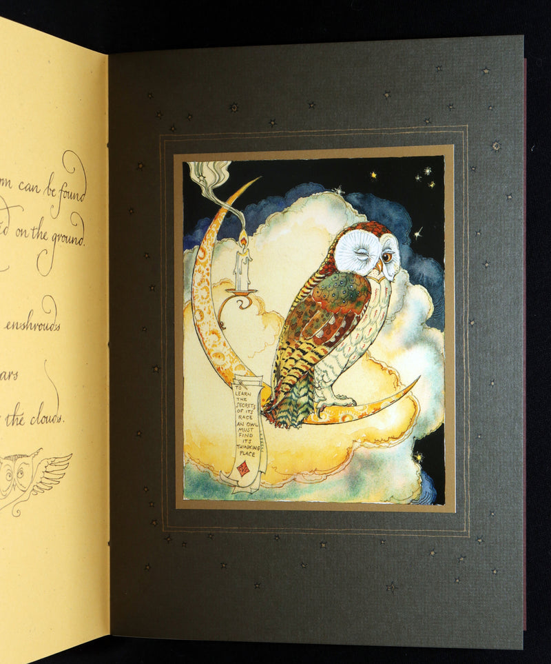 2012 Scarce Signed 1stED - Full Moon Eyes; Ode to Owls by Charles van Sandwyk